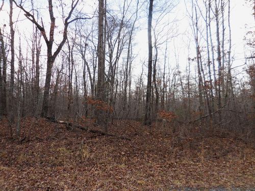 3008 Diego Dr, Crossville, TN, 38572 | Card Image