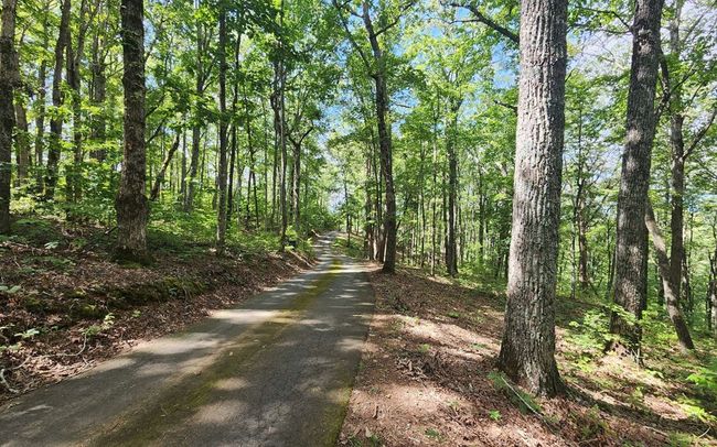 0 Lakeview Heights, Home with 0 bedrooms, 0 bathrooms and null parking in Hayesville NC | Image 6