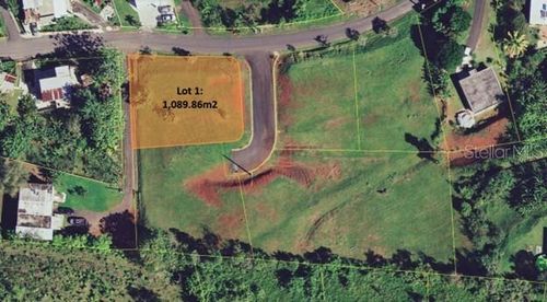 lot-1-PR-173 KM 6.1 Sumidero Ward, Aguas Buenas, PR, 00703 | Card Image