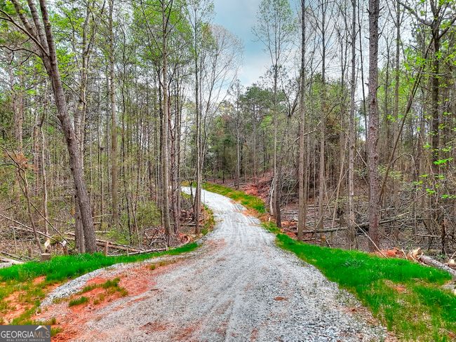 0 Falcon Ln, Home with 0 bedrooms, 0 bathrooms and null parking in Carnesville GA | Image 10