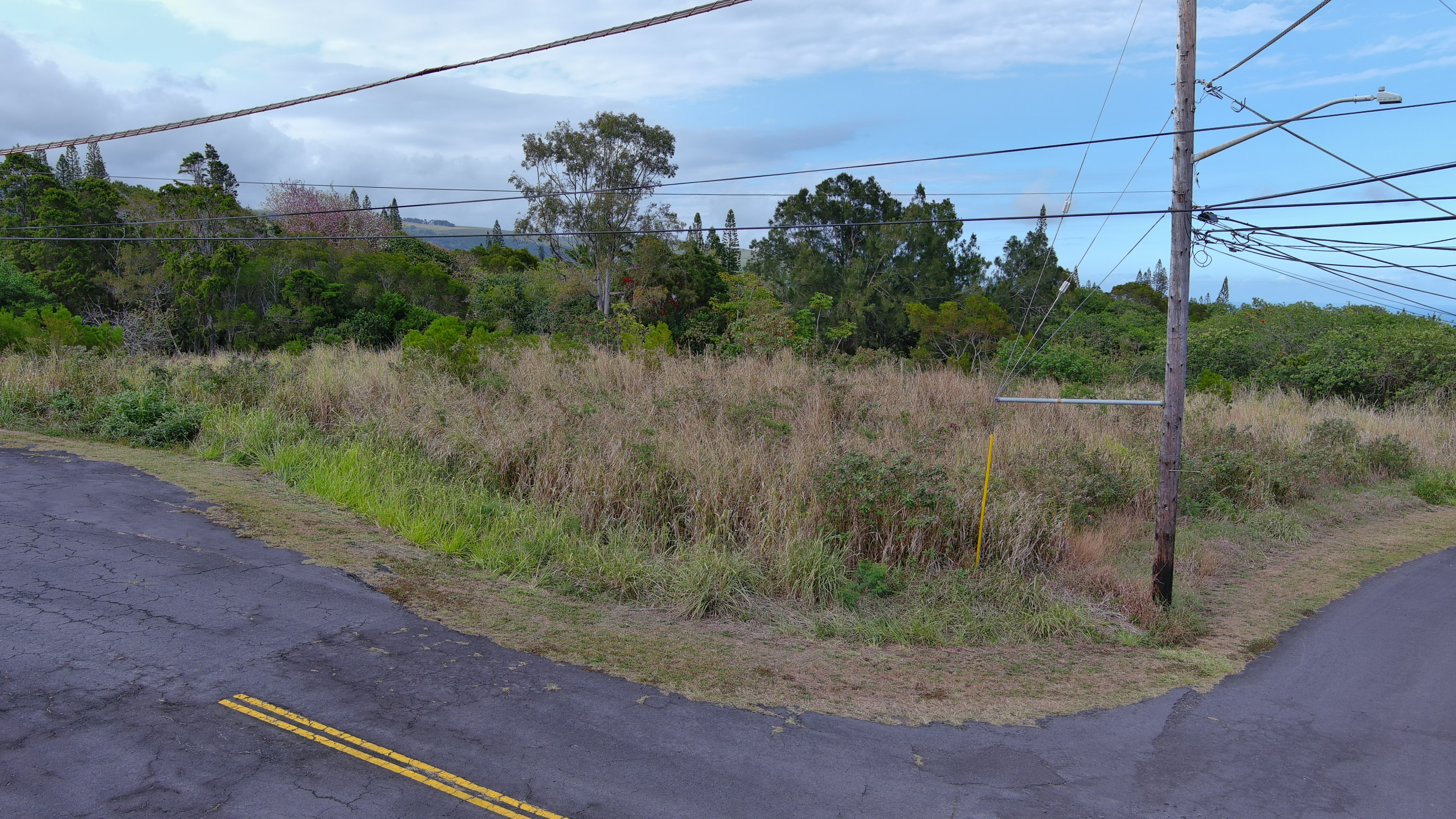 Land in Naalehu 4