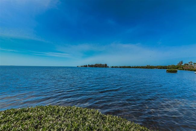 APT-200J - 300 S Florida Ave, Condo with 2 bedrooms, 2 bathrooms and null parking in TARPON SPRINGS FL | Image 61
