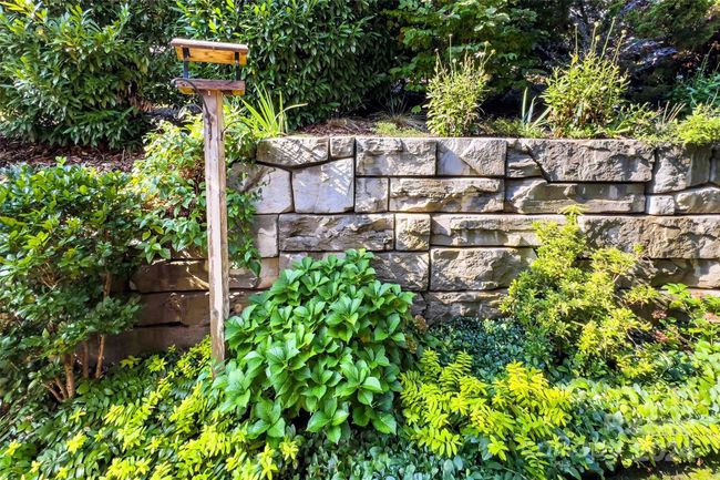 Your Backyard oasis | Image 41