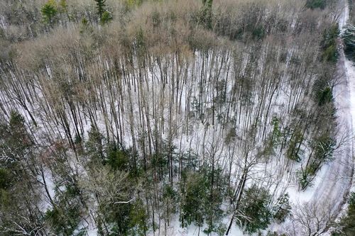 +/-5 Acres Salem Lake Road, MOLITOR, WI, 54451 | Card Image