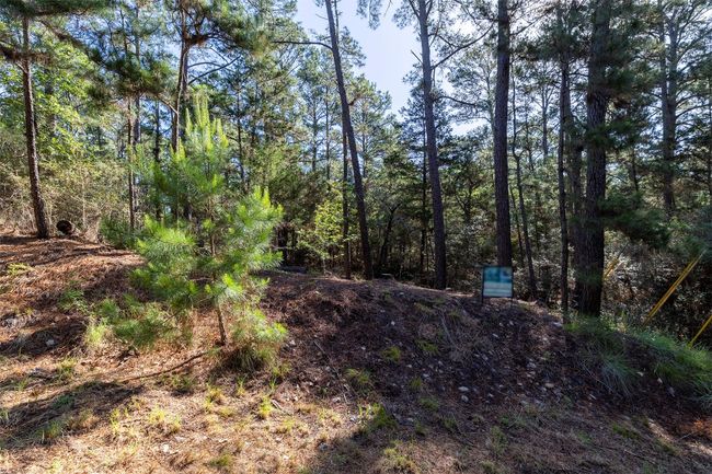 View of undeveloped land | Image 20