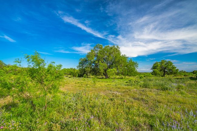 000 S Laird Rd, Home with 0 bedrooms, 0 bathrooms and null parking in Harper TX | Image 10
