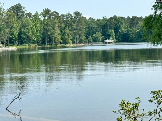 348 Amalfi Dr, House other with 3 bedrooms, 3 bathrooms and null parking in Chapin SC | Image 50