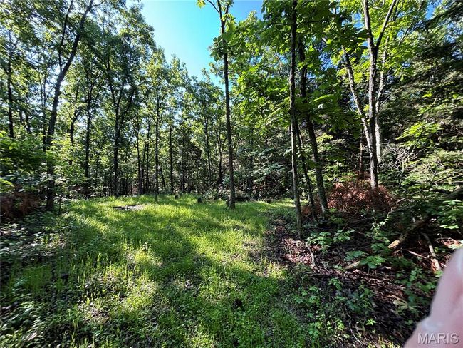 View of woods | Image 19