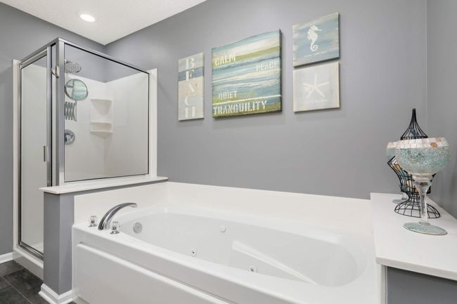Private primary bath with jacuzzi tub | Image 25