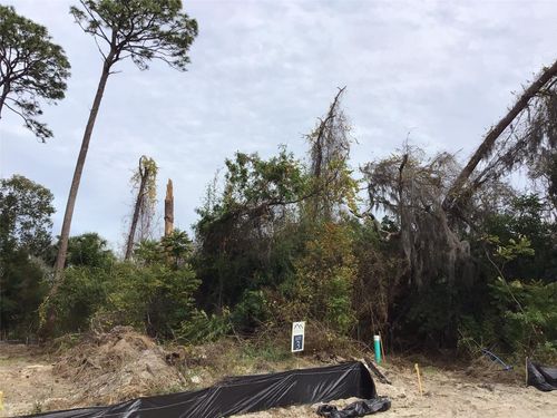 1299 Almaria Court, PALM HARBOR, FL, 34683 | Card Image