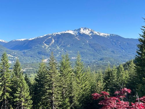 8384 Mountain View Drive, Whistler, BC, V8E0G3 | Card Image