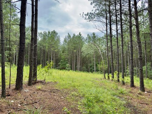 40 Hochacedar Trail, Broken Bow, OK, 74728 | Card Image