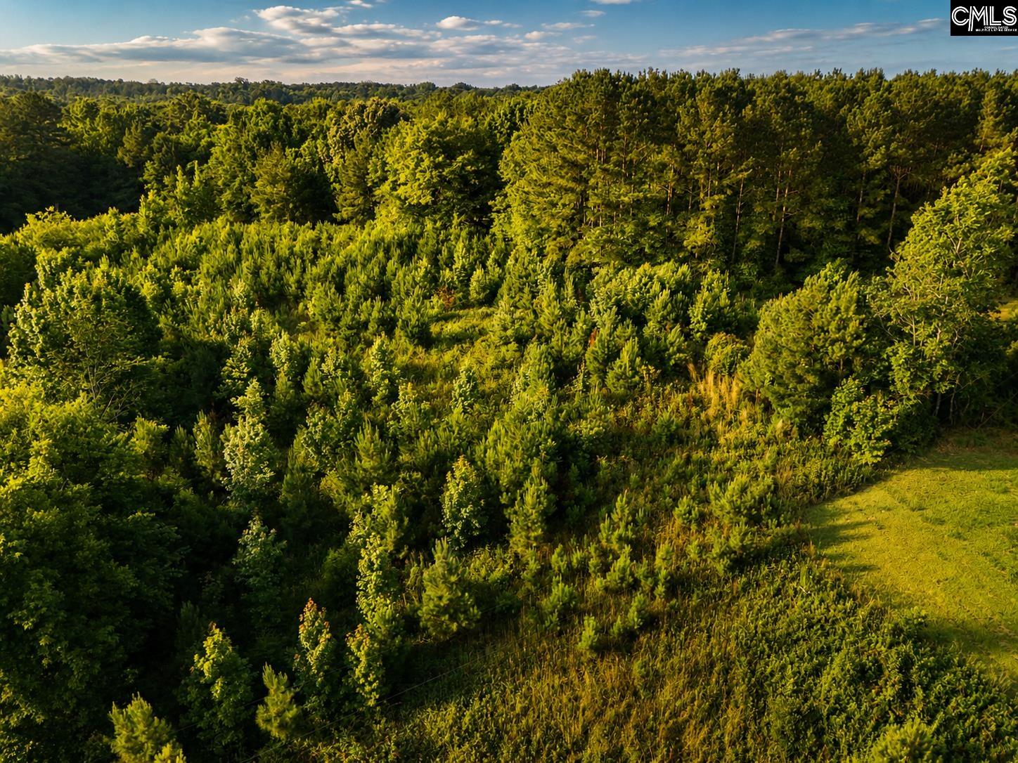 Land in Leesville 3