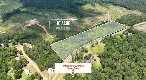 0 Pigeon Creek Road, Georgiana, AL, 36033 | Card Image
