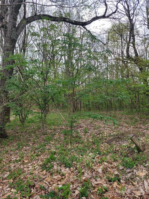 TBD Buena Vista Dr, West Jefferson, NC, 28694 | Card Image