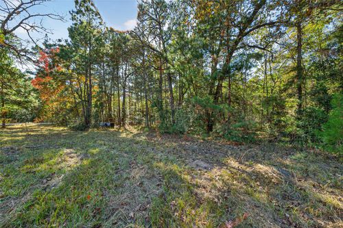 TBD Boars Head Pl, Montgomery, TX, 77316 | Card Image