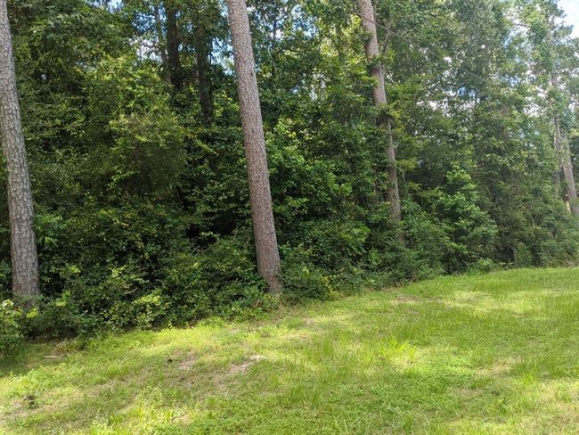 13 Moose Dr, Home with 0 bedrooms, 0 bathrooms and null parking in Onalaska TX | Image 22
