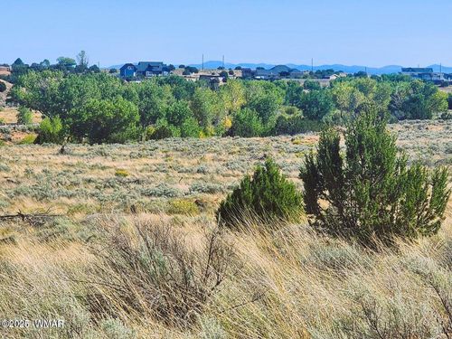 1415 W Tumbleweed Trl, Snowflake, AZ, 85937-5469 | Card Image
