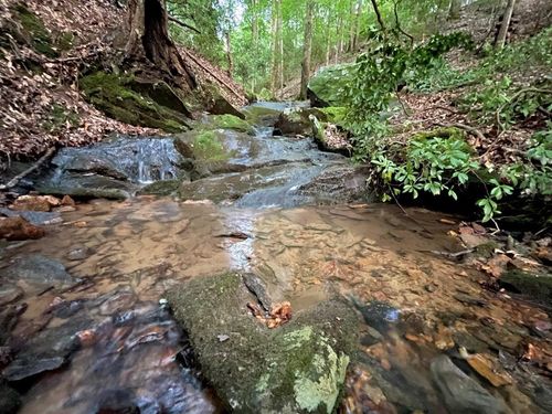 64 Kristin Lane, Ellijay, GA, 30540 | Card Image