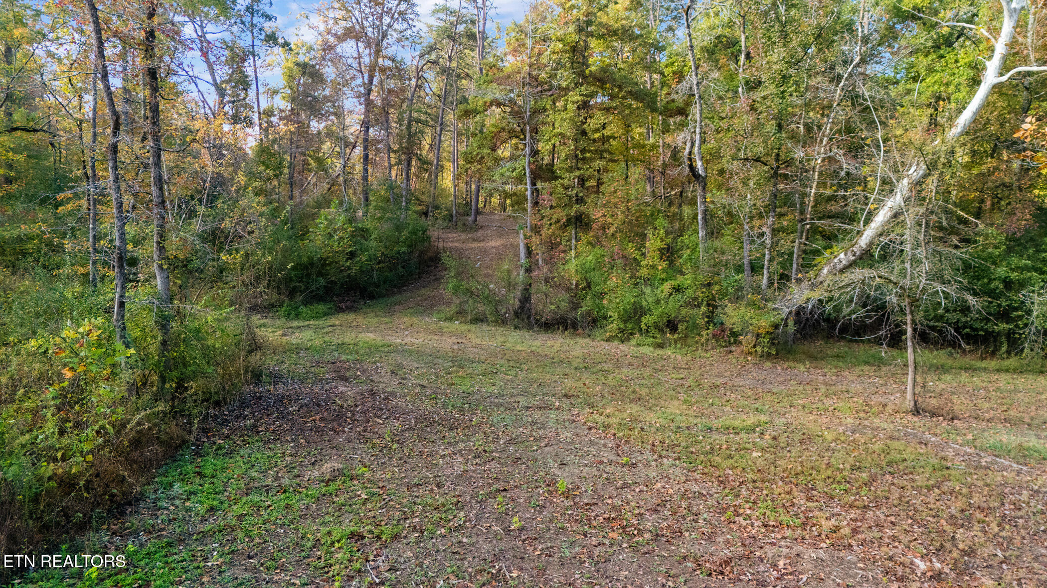 Land in Maryville 3