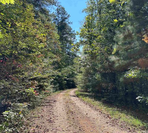 0 Co Rd 3034, Double Springs, AL, 35553 | Card Image