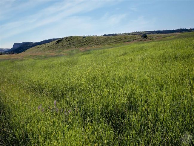 Lot # 40 Spreading Winge Lane, Home with 0 bedrooms, 0 bathrooms and null parking in Nye MT | Image 5