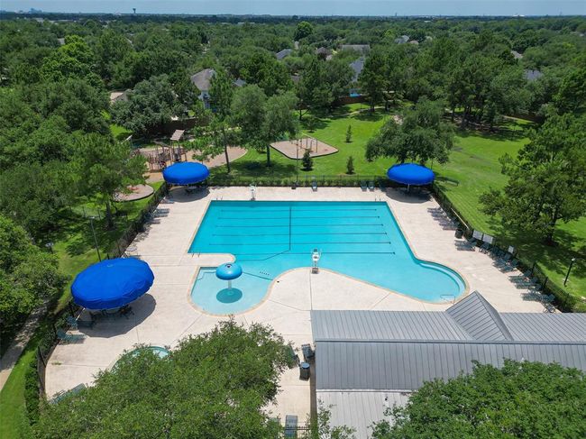 The Community Pool | Image 45