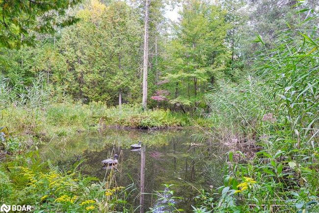 1390 Warminster Sideroad, House other with 3 bedrooms, 3 bathrooms and 20 parking in Oro Medonte ON | Image 40