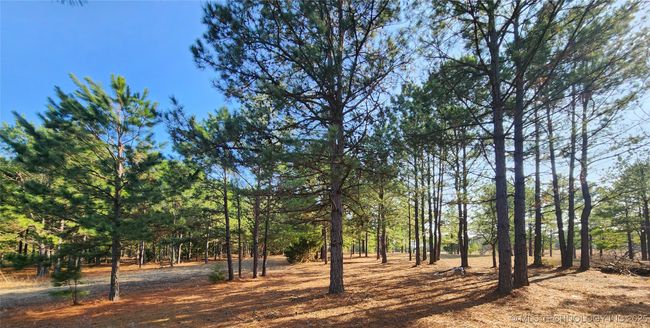 5253 S Research Rd, Home with 0 bedrooms, 0 bathrooms and null parking in Lane OK | Image 62