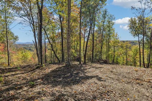 Tract 14 Off Of Sheep Ranch Road, Robbins, TN, 37852 | Card Image