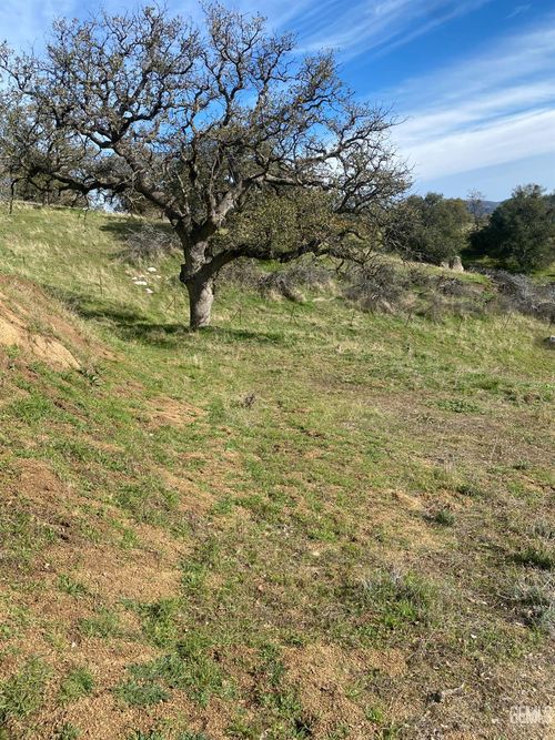 27833 Buckeye Canyon Rd, Keene, CA, 93531 | Card Image