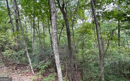 LOT 20 Enchanted Ridge Ridge, Hayesville, NC, 28904 | Card Image