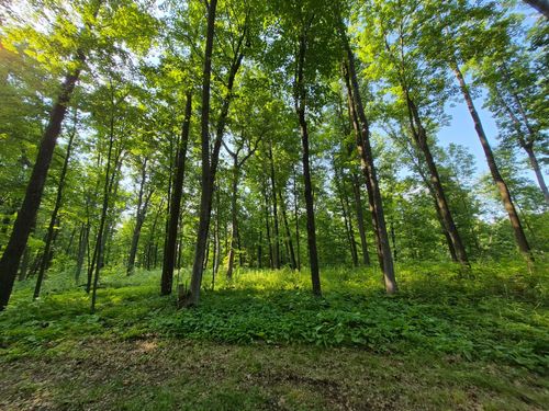 3391 30th St, FREDERIC, WI, 54837-5429 | Card Image