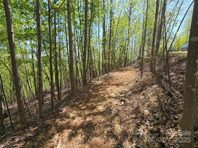 Lot 24 High Rock Rdg, Home with 0 bedrooms, 0 bathrooms and null parking in Lake Lure NC | Image 10