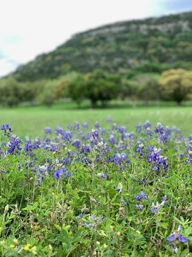 7 - 5824 N Us Highway 83, Home with 0 bedrooms, 0 bathrooms and null parking in Leakey TX | Image 13