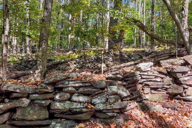 11441184 Hollister Hill Rd, House other with 6 bedrooms, 5 bathrooms and null parking in Delhi NY | Image 92