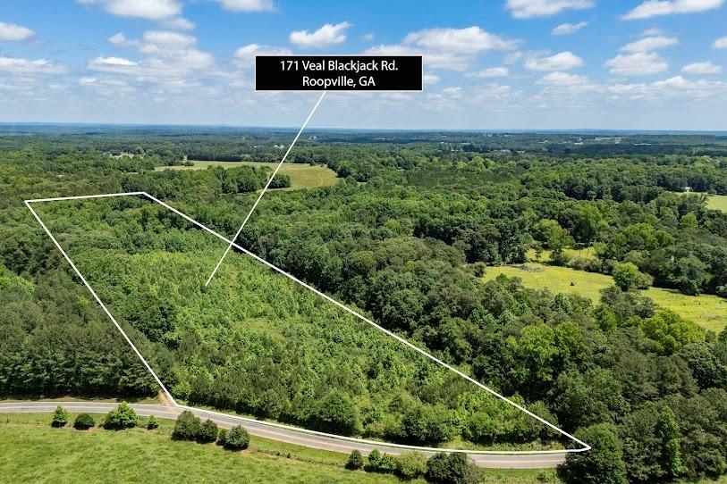 Veal Blackjack Rd, Roopville, GA 30170