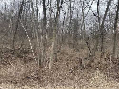 000 Smith Valley Road, MEDARY, WI, 54601 | Card Image