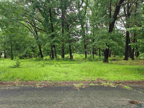 208 Mountain View Dr, Daingerfield, TX, 75638-1424 | Card Image