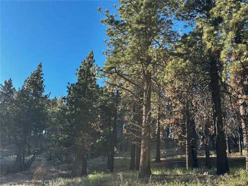 1 Crest Forest Dr, Cedarpines Park, CA, 92322-0112 | Card Image