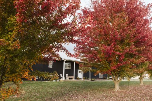 1637 E 541st Rd, Brighton, MO, 65617-7224 | Card Image