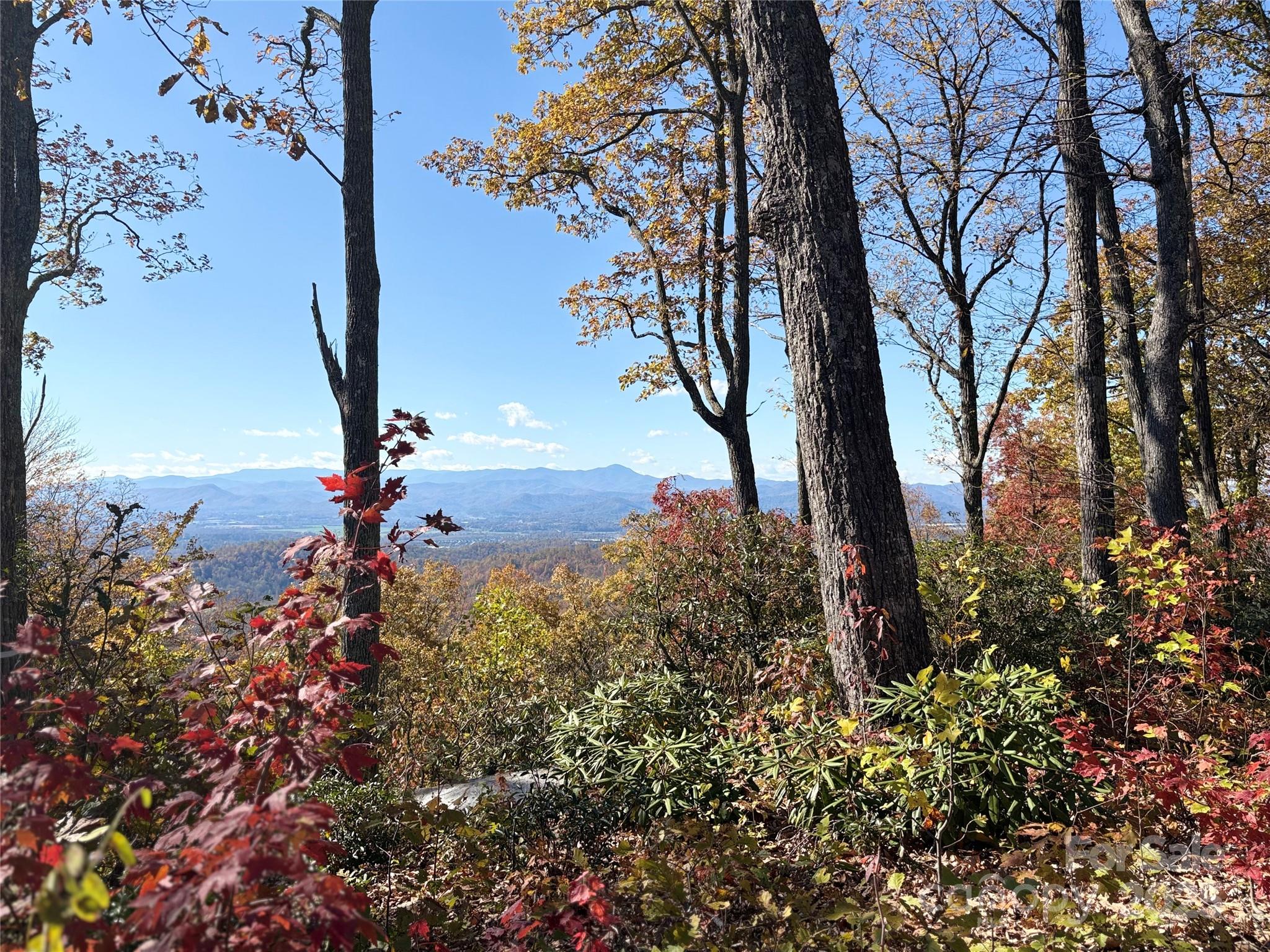 Land in Fletcher 4