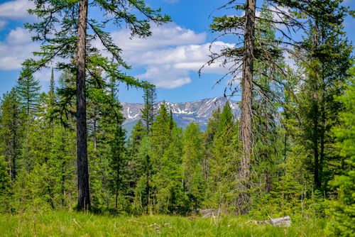 NHN Lindbergh Lake Rd, Condon, MT, 59826 | Card Image