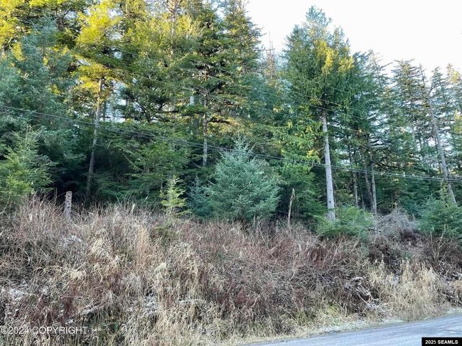 L9 B5 Beach Road, Home with 0 bedrooms, 0 bathrooms and null parking in Whale Pass AK | Image 9