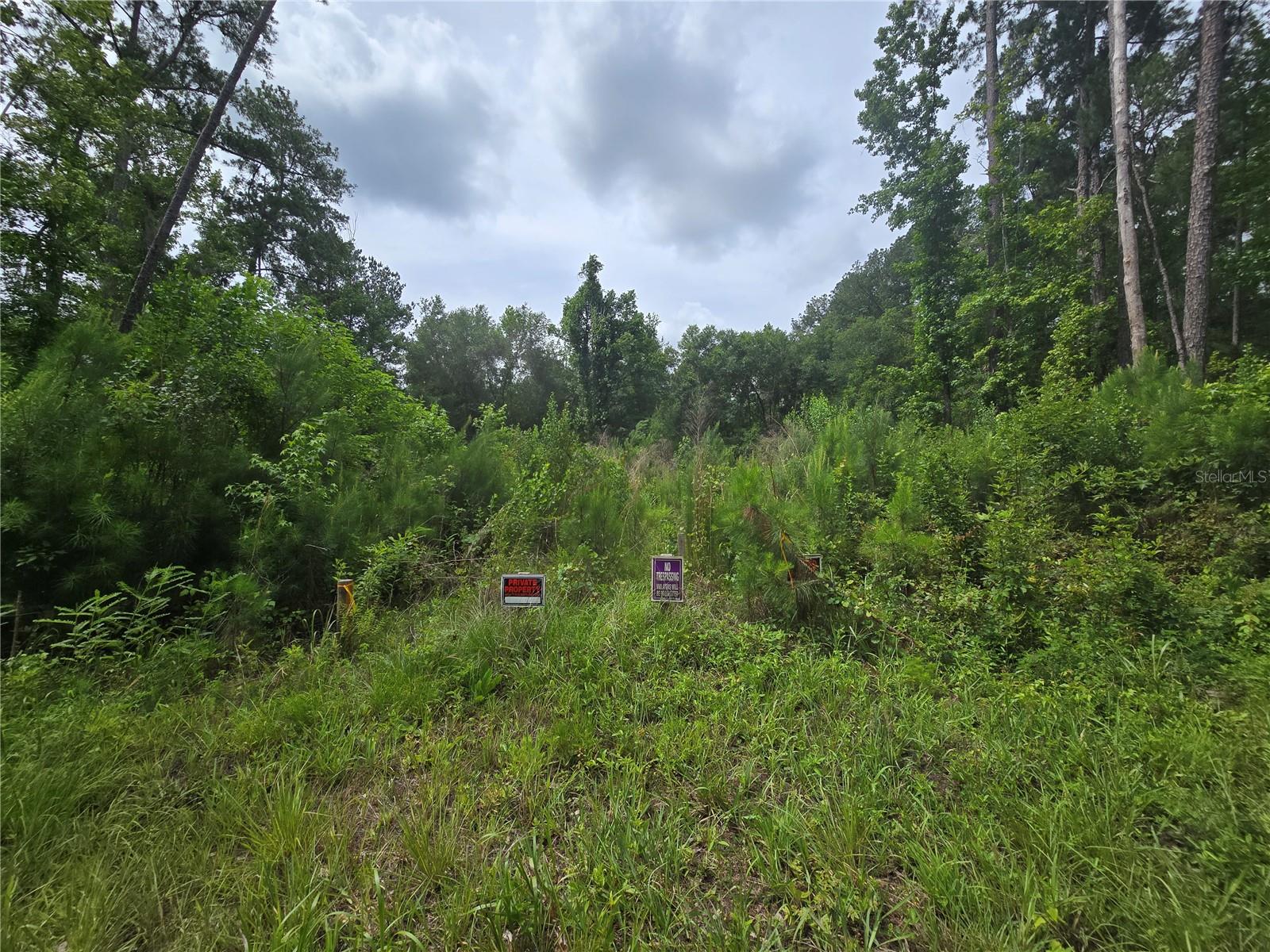 Land in OCKLAWAHA