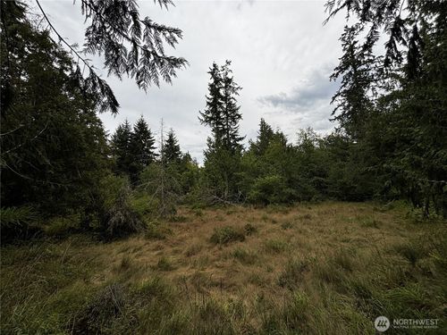 9999 S Bagley St, Port Angeles, WA, 98362 | Card Image