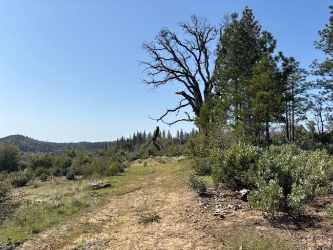 19292 Shawnee Trl, Home with 0 bedrooms, 0 bathrooms and null parking in Mokelumne Hill CA | Image 41