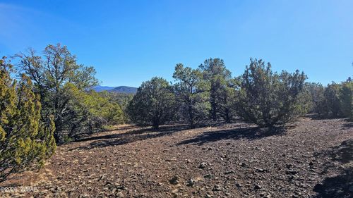 76 N3130, Vernon, AZ, 85940-0351 | Card Image