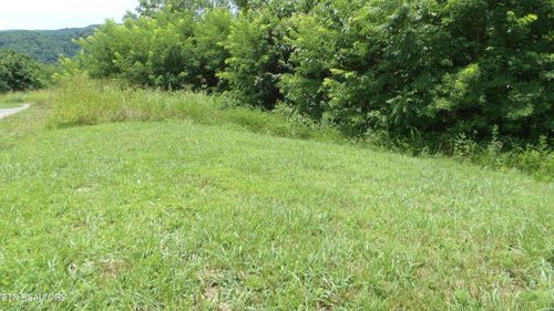 Lot 17D Crappie Rd, Hilham, TN, 38568 | Card Image