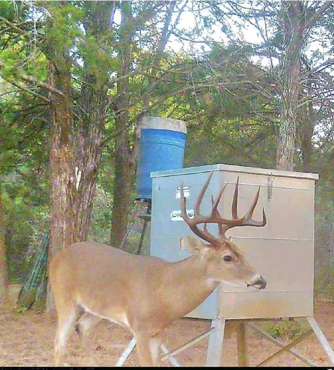 Take a look this 8 point! | Image 46